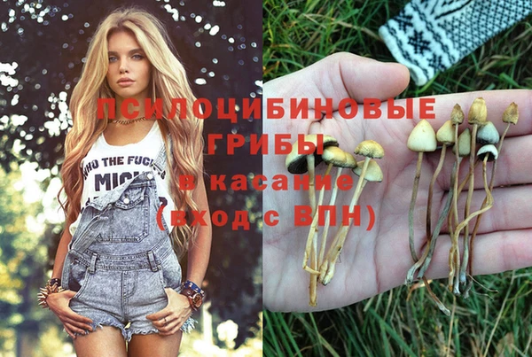героин Бородино